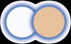 最高月薪15000元！柘林镇这些企业正正在