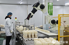 <b>南谯的“四点水”丨农业“丰”水：“深耕”复</b>