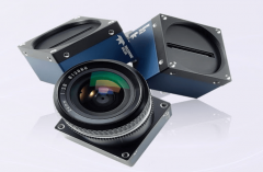 按照问可汇（WENKH）深度研究阐发2025年全